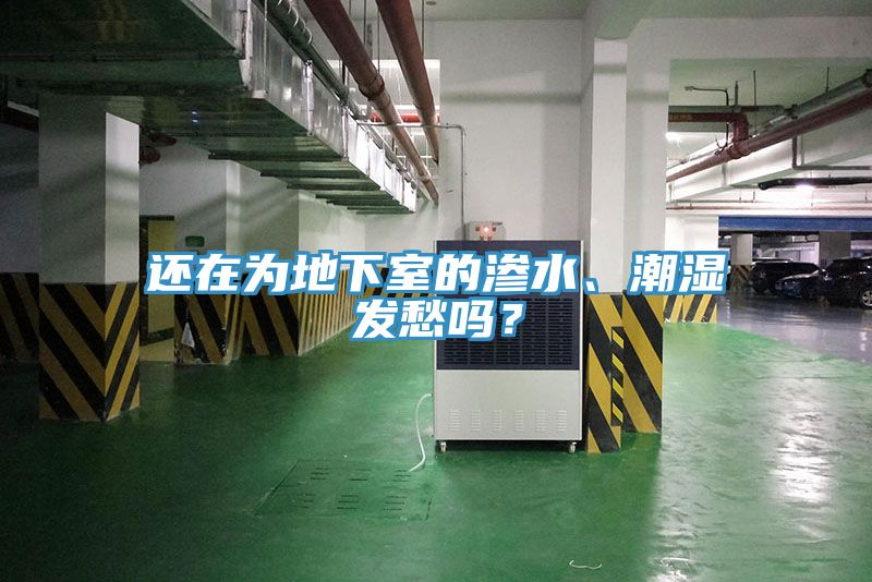 還在為地下室的滲水、潮濕發(fā)愁嗎？