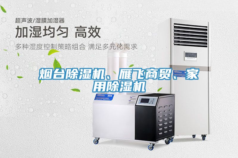 煙臺(tái)除濕機(jī)、雁飛商貿(mào)、家用除濕機(jī)