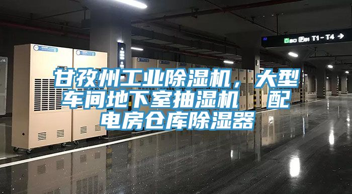 甘孜州工業(yè)除濕機，大型車間地下室抽濕機  配電房倉庫除濕器