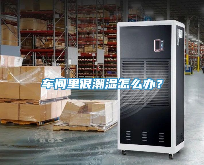 車間里很潮濕怎么辦？