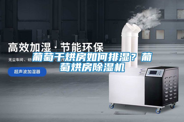 葡萄干烘房如何排濕？葡萄烘房除濕機(jī)