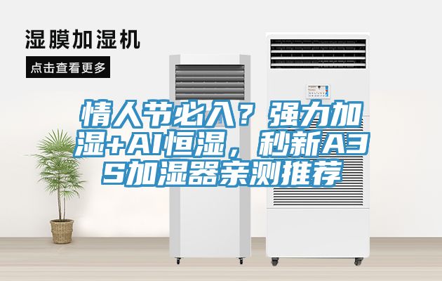 情人節(jié)必入？強(qiáng)力加濕+AI恒濕，秒新A3S加濕器親測推薦