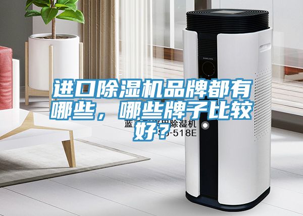 進口除濕機品牌都有哪些，哪些牌子比較好？