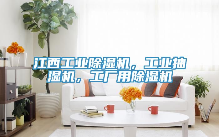 江西工業(yè)除濕機，工業(yè)抽濕機，工廠用除濕機