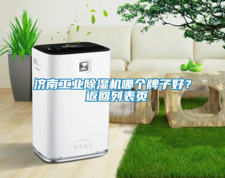 濟南工業(yè)除濕機哪個牌子好？ 返回列表頁