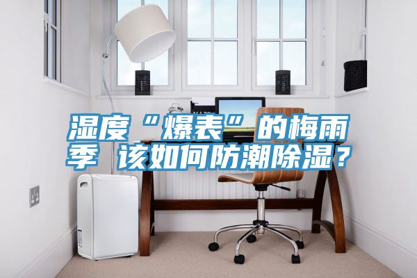 濕度“爆表”的梅雨季 該如何防潮除濕？