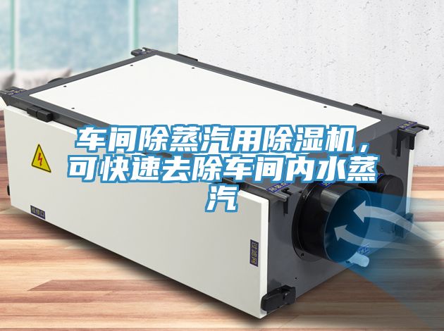車間除蒸汽用除濕機(jī)，可快速去除車間內(nèi)水蒸汽