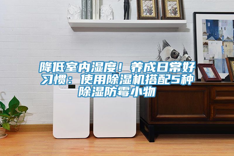 降低室內(nèi)濕度！養(yǎng)成日常好習慣：使用除濕機搭配5種除濕防霉小物