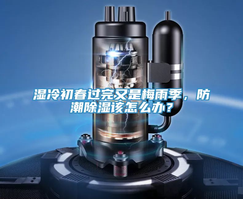 濕冷初春過完又是梅雨季，防潮除濕該怎么辦？