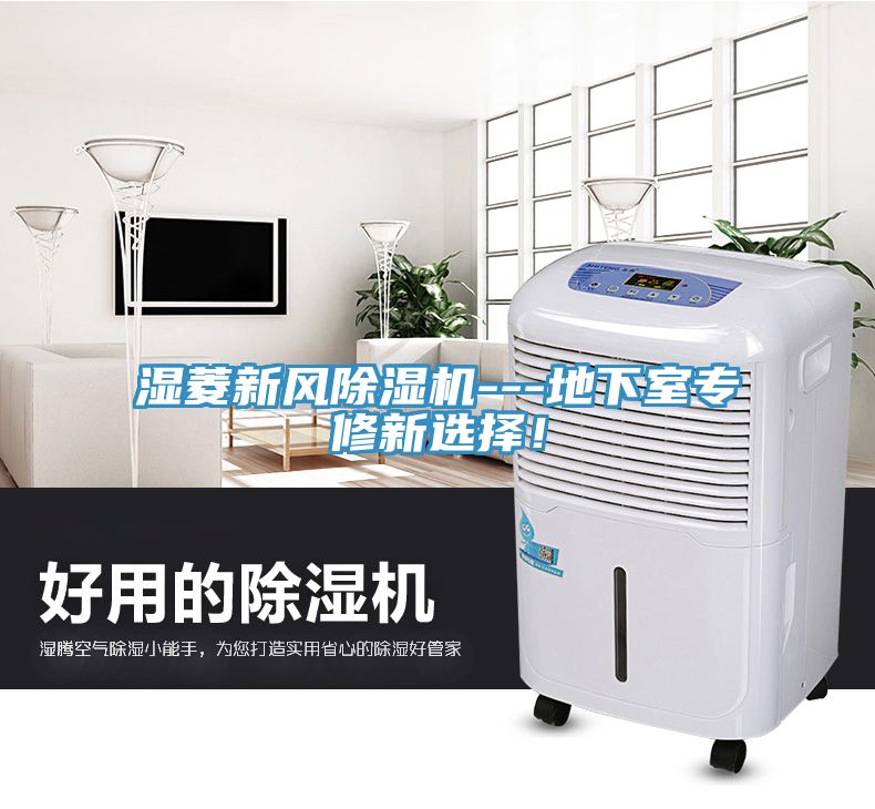 濕菱新風(fēng)除濕機(jī)---地下室專修新選擇！
