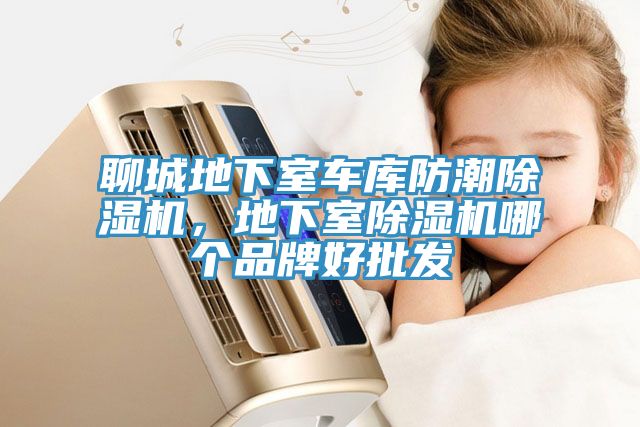 聊城地下室車庫防潮除濕機，地下室除濕機哪個品牌好批發(fā)