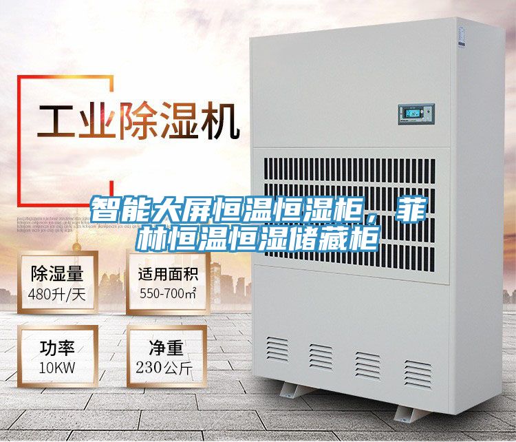 智能大屏恒溫恒濕柜，菲林恒溫恒濕儲藏柜