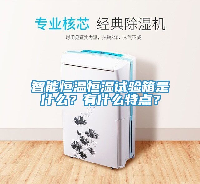 智能恒溫恒濕試驗(yàn)箱是什么？有什么特點(diǎn)？