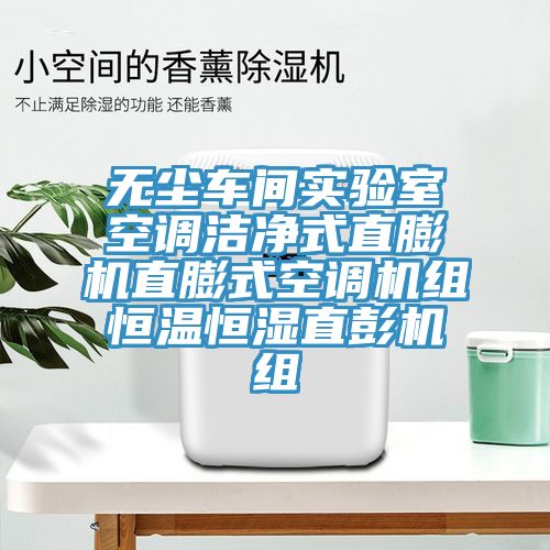 無(wú)塵車間實(shí)驗(yàn)室空調(diào)潔凈式直膨機(jī)直膨式空調(diào)機(jī)組恒溫恒濕直彭機(jī)組
