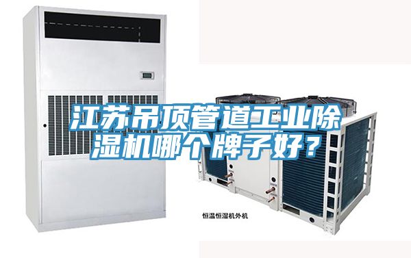 江蘇吊頂管道工業(yè)除濕機(jī)哪個(gè)牌子好？