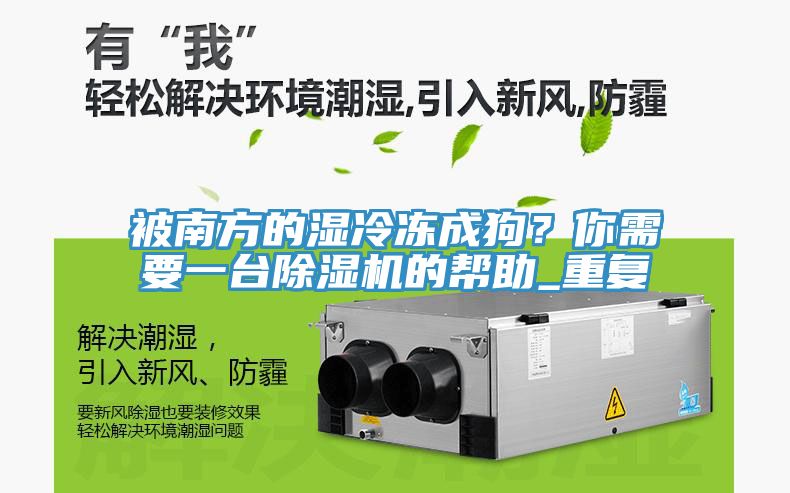 被南方的濕冷凍成狗？你需要一臺(tái)除濕機(jī)的幫助_重復(fù)