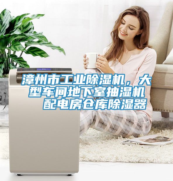 漳州市工業(yè)除濕機(jī)，大型車間地下室抽濕機(jī)  配電房倉(cāng)庫(kù)除濕器