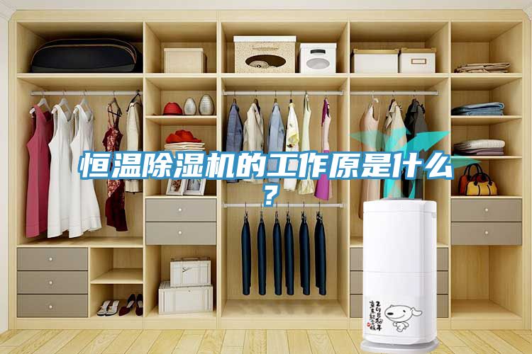 恒溫除濕機(jī)的工作原是什么？