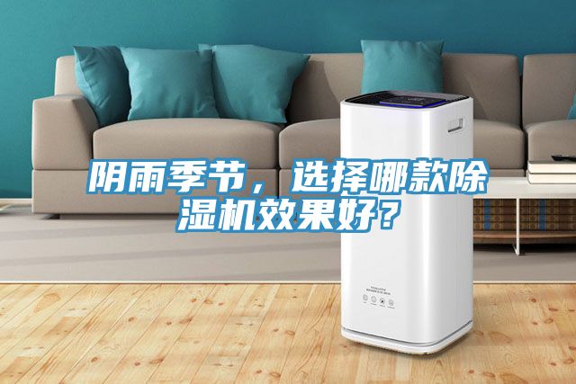 陰雨季節(jié)，選擇哪款除濕機效果好？