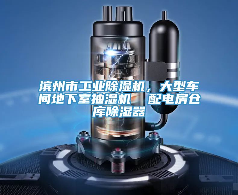 濱州市工業(yè)除濕機(jī)，大型車間地下室抽濕機(jī)  配電房倉(cāng)庫(kù)除濕器