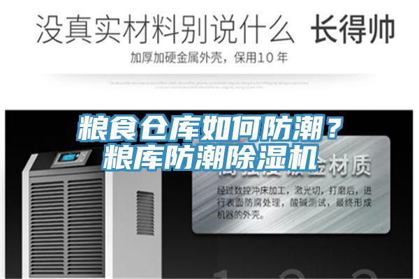 糧食倉(cāng)庫(kù)如何防潮？糧庫(kù)防潮除濕機(jī)