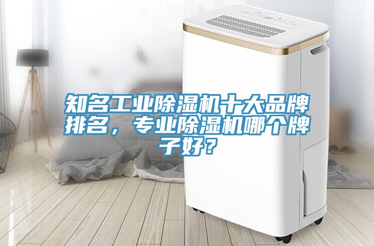 知名工業(yè)除濕機(jī)十大品牌排名，專業(yè)除濕機(jī)哪個(gè)牌子好？