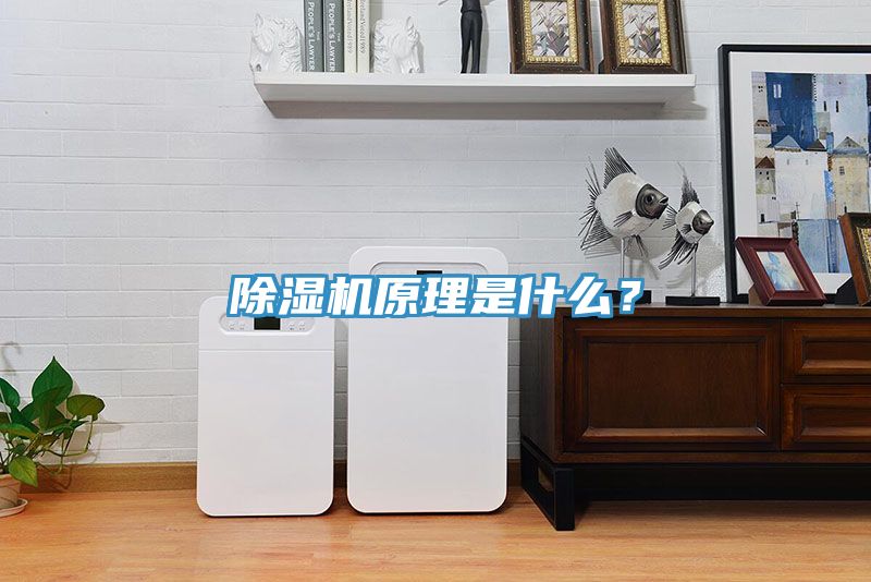 除濕機(jī)原理是什么？