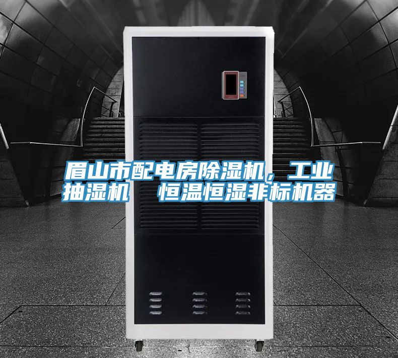 眉山市配電房除濕機(jī)，工業(yè)抽濕機(jī)  恒溫恒濕非標(biāo)機(jī)器