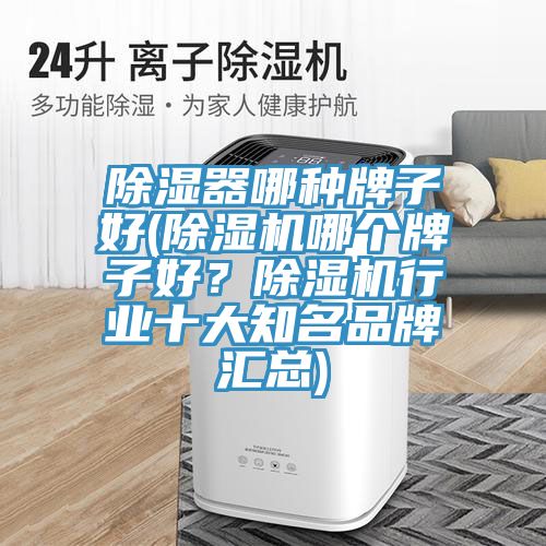 除濕器哪種牌子好(除濕機(jī)哪個(gè)牌子好？除濕機(jī)行業(yè)十大知名品牌匯總)