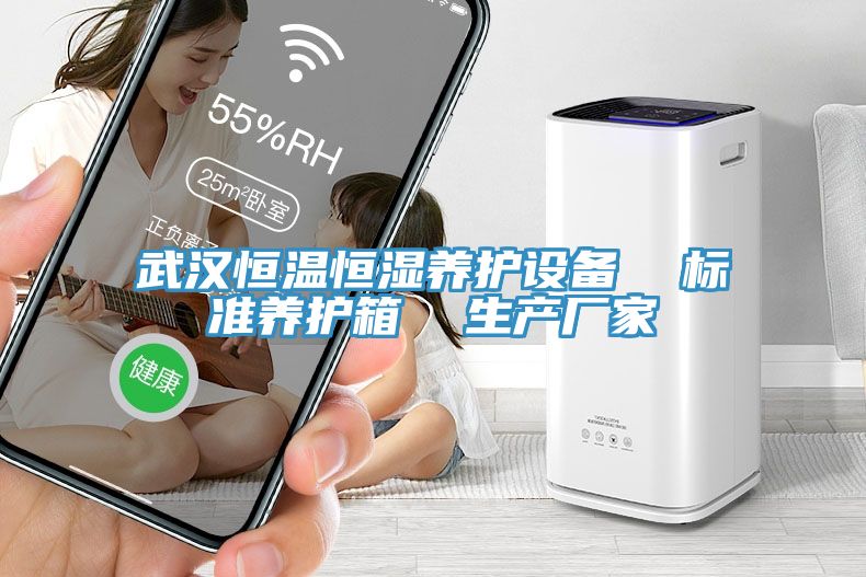 武漢恒溫恒濕養(yǎng)護設(shè)備  標準養(yǎng)護箱  生產(chǎn)廠家