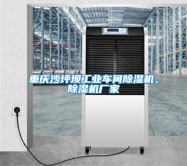 重慶沙坪壩工業(yè)車(chē)間除濕機(jī)，除濕機(jī)廠家