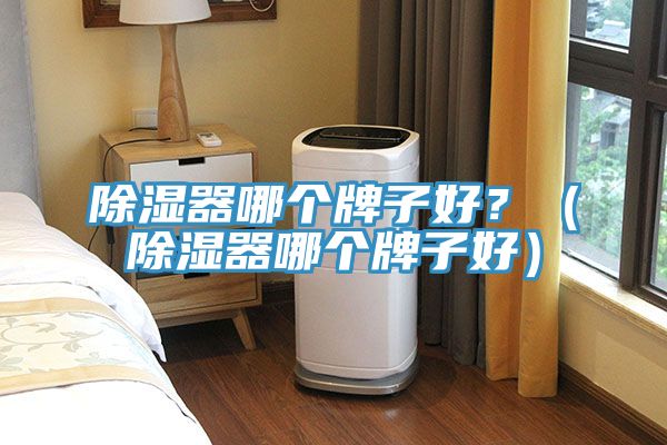 除濕器哪個(gè)牌子好？（除濕器哪個(gè)牌子好）