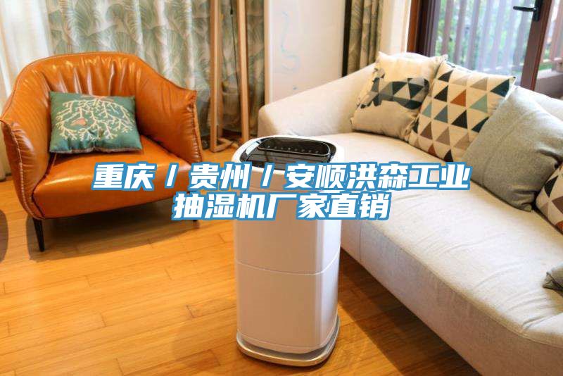 重慶／貴州／安順洪森工業(yè)抽濕機(jī)廠家直銷(xiāo)