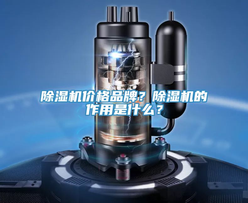 除濕機(jī)價格品牌？除濕機(jī)的作用是什么？