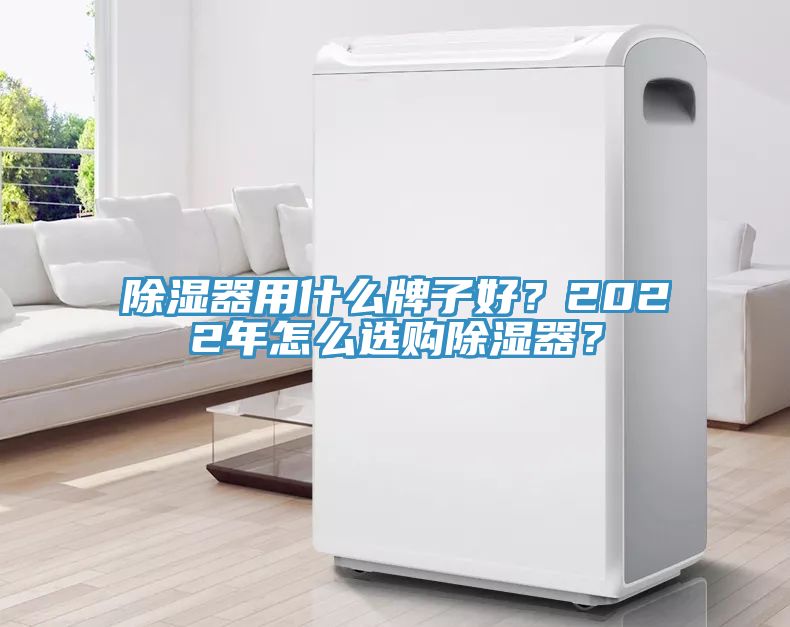 除濕器用什么牌子好？2022年怎么選購除濕器？