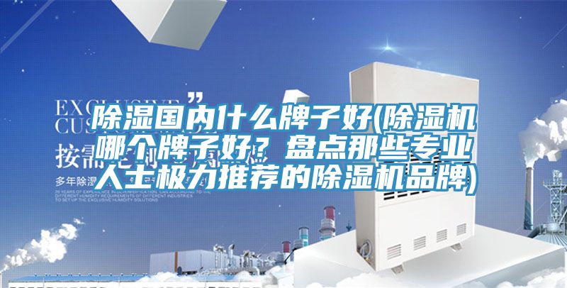 除濕國內(nèi)什么牌子好(除濕機(jī)哪個(gè)牌子好？盤點(diǎn)那些專業(yè)人士極力推薦的除濕機(jī)品牌)