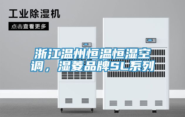 浙江溫州恒溫恒濕空調(diào)，濕菱品牌SL系列