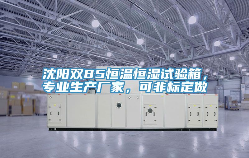 沈陽雙85恒溫恒濕試驗箱，專業(yè)生產(chǎn)廠家，可非標(biāo)定做
