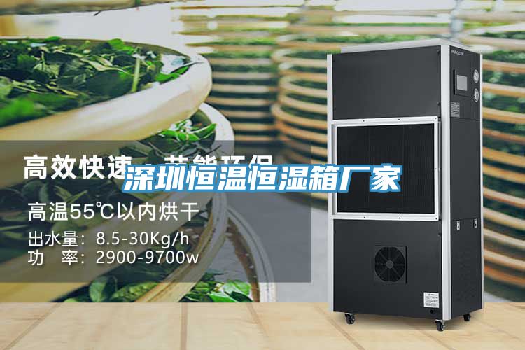 深圳恒溫恒濕箱廠(chǎng)家