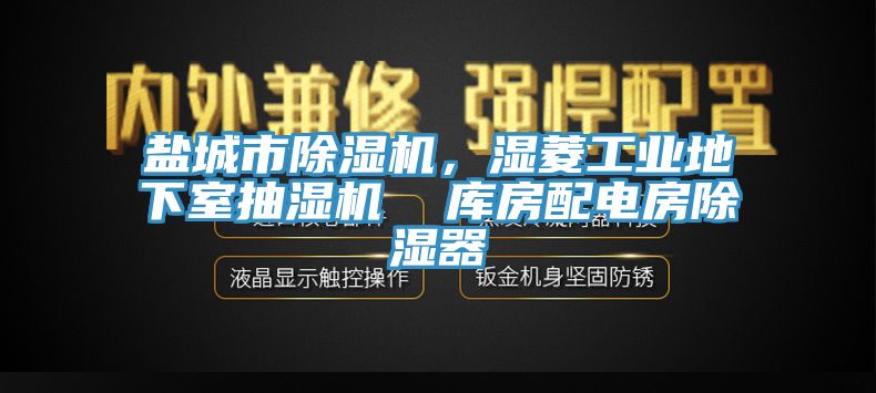 鹽城市除濕機，濕菱工業(yè)地下室抽濕機  庫房配電房除濕器