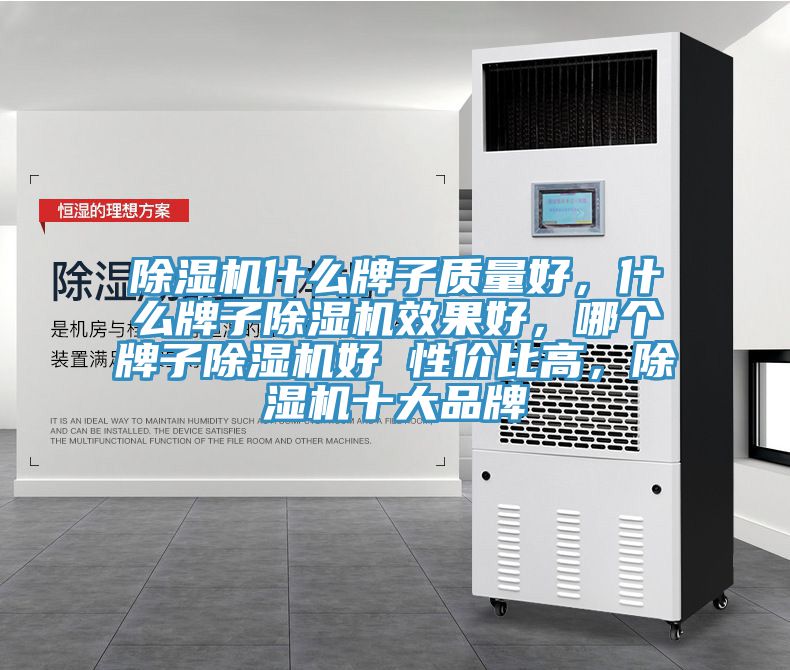 除濕機什么牌子質量好，什么牌子除濕機效果好，哪個牌子除濕機好 性價比高，除濕機十大品牌