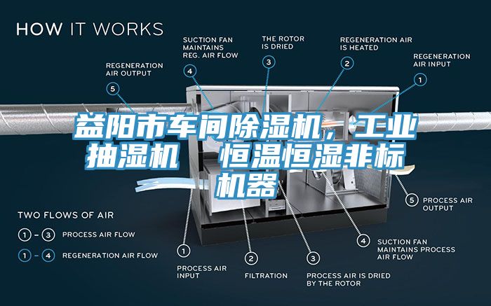 益陽市車間除濕機，工業(yè)抽濕機  恒溫恒濕非標機器