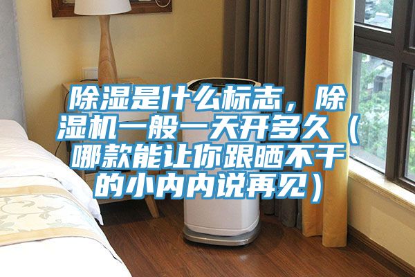除濕是什么標(biāo)志，除濕機(jī)一般一天開多久（哪款能讓你跟曬不干的小內(nèi)內(nèi)說(shuō)再見）