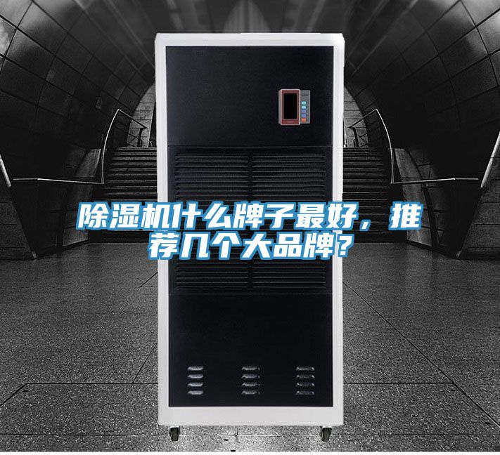 除濕機什么牌子最好，推薦幾個大品牌？