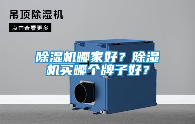 除濕機(jī)哪家好？除濕機(jī)買哪個(gè)牌子好？
