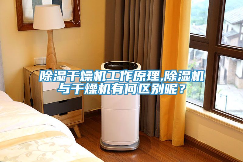 除濕干燥機工作原理,除濕機與干燥機有何區(qū)別呢？