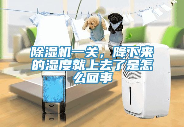 除濕機(jī)一關(guān)，降下來(lái)的濕度就上去了是怎么回事
