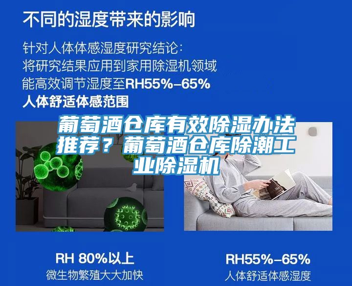 葡萄酒倉庫有效除濕辦法推薦？葡萄酒倉庫除潮工業(yè)除濕機(jī)