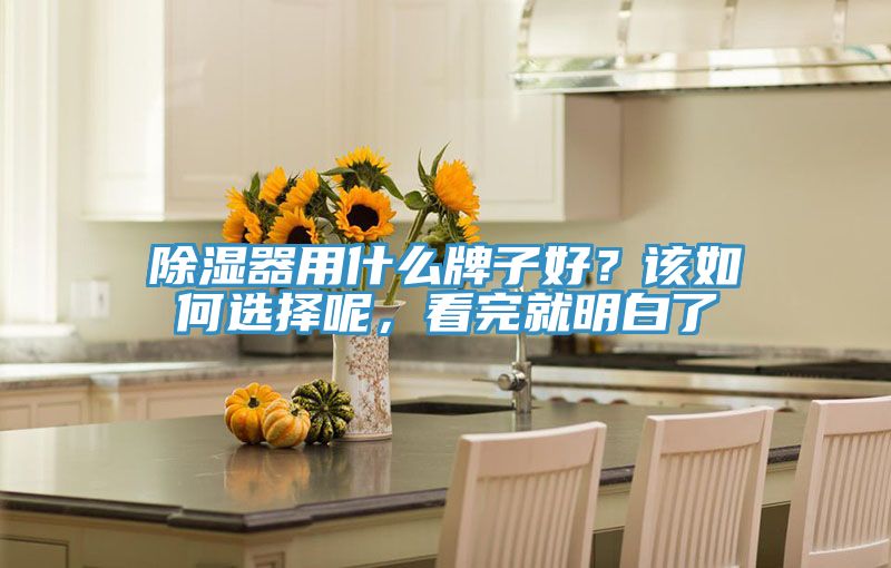 除濕器用什么牌子好？該如何選擇呢，看完就明白了