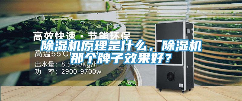 除濕機(jī)原理是什么，除濕機(jī)那個(gè)牌子效果好？